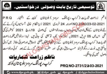 Agriculture Department Balochistan Jobs 2021