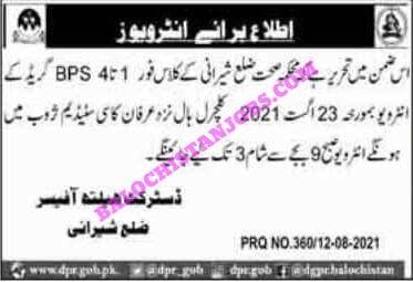 237351056 820405152003226 1547495031845610577 n 1