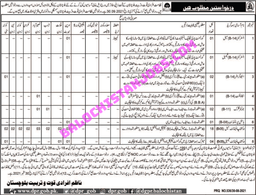 Directorate of Manpower and Training Balochistan Jobs 2021 1