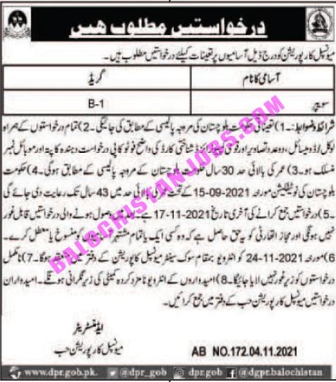 Municipal Corporation Hub Balochistan Jobs 2021