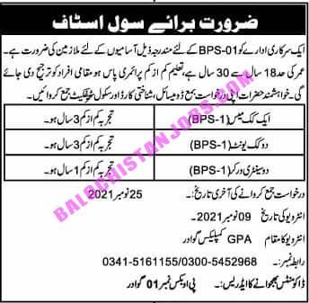 P.O Box No 1 Gwadar Jobs 2021 1 P.O Box No 1 Gwadar