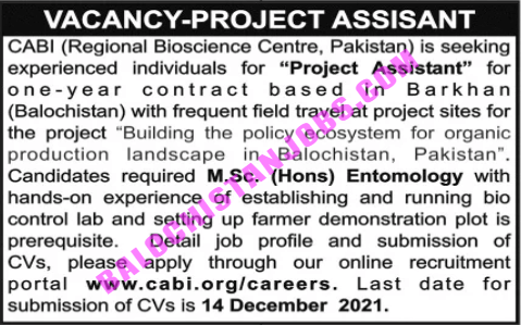 Project Assistant Jobs In Barkhan 2021 1