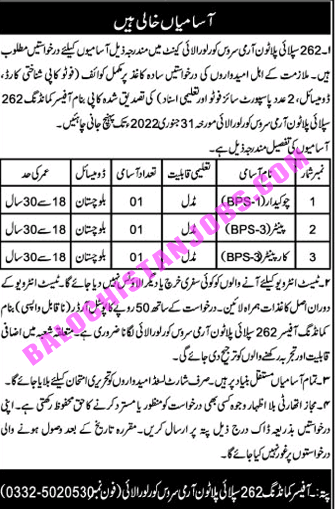 Loralai Cantt Jobs 2022