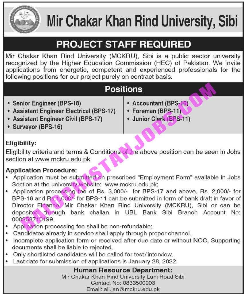 Mir Chakar Khan Rind University MCKRU Sibi Jobs 2022