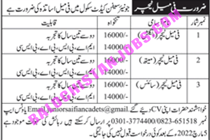 Junior Sapien Cadet School Jobs 2022 1 Junior Sapien Cadet School Jobs 2022