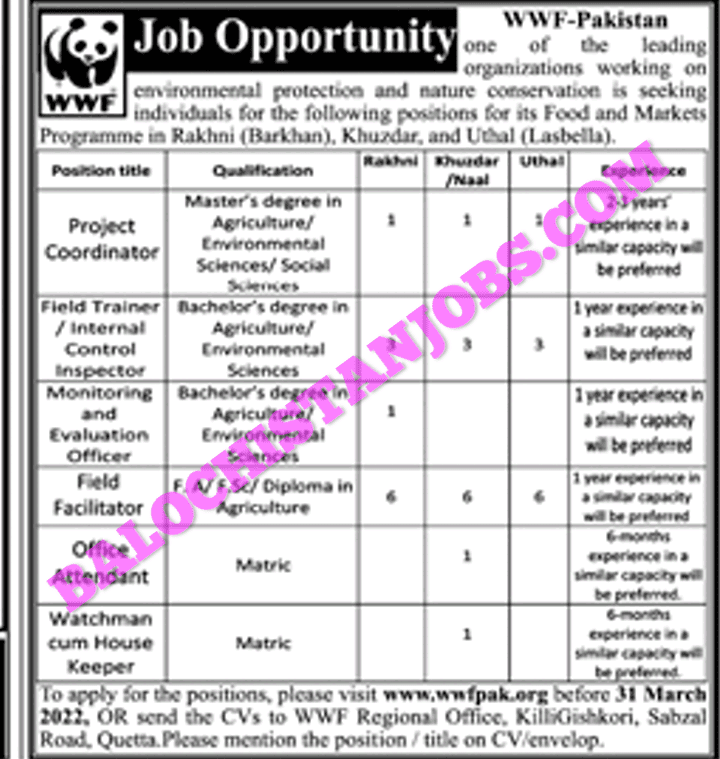 Jobs In WWF Balochistan 2022