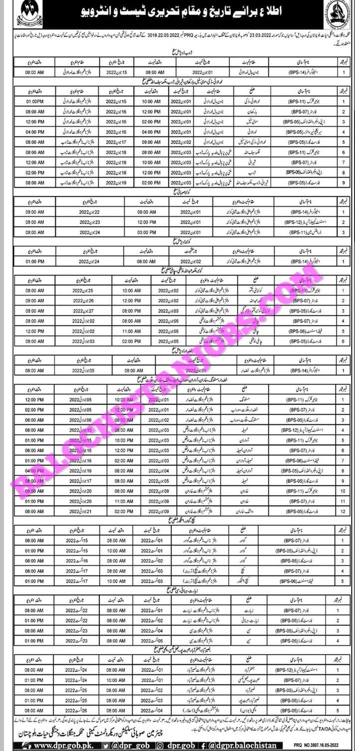 forest department Balcohistan Test Interview 2022
