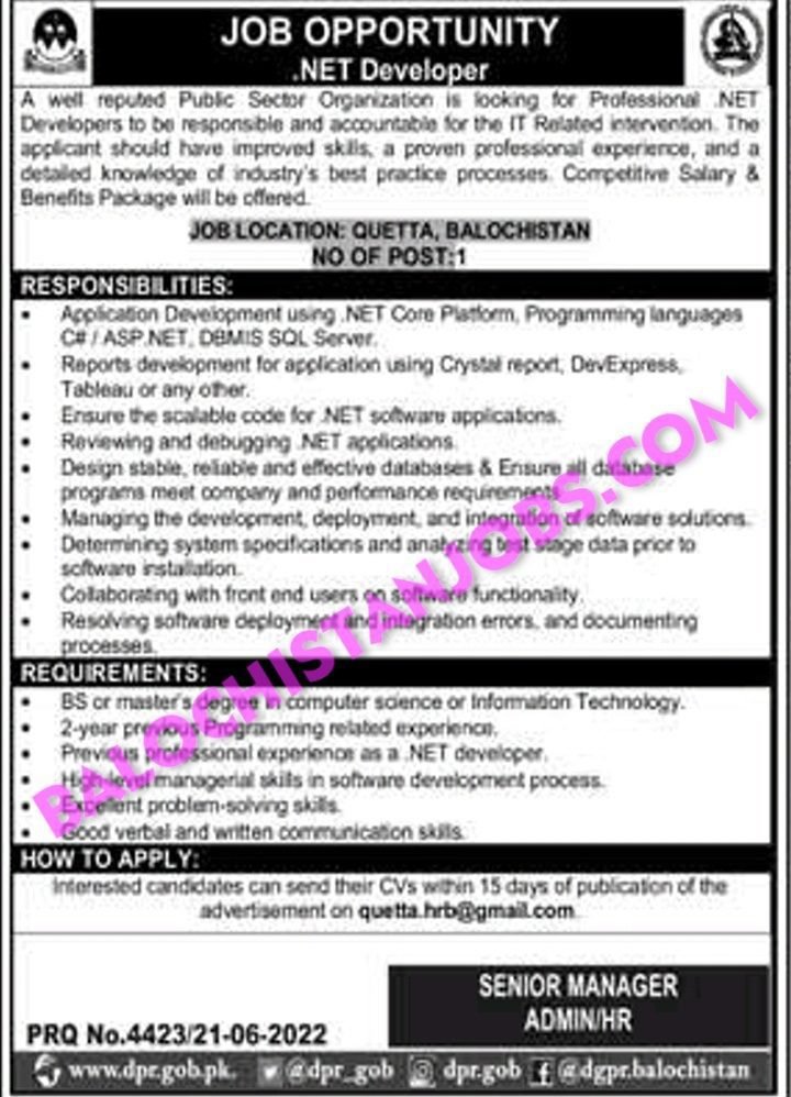 Public Sector Organization Balochistan Net Developer Jobs 2022