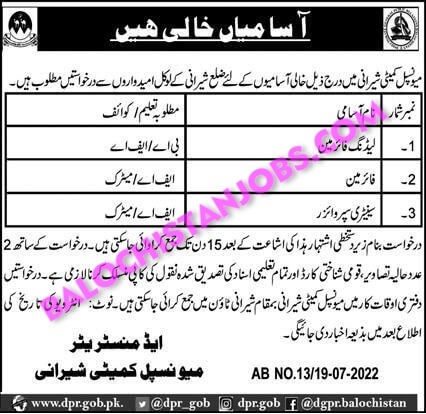 Municipal Committee MC Sherani Jobs 2022 1 Municipal Committee MC Sherani Jobs 2022