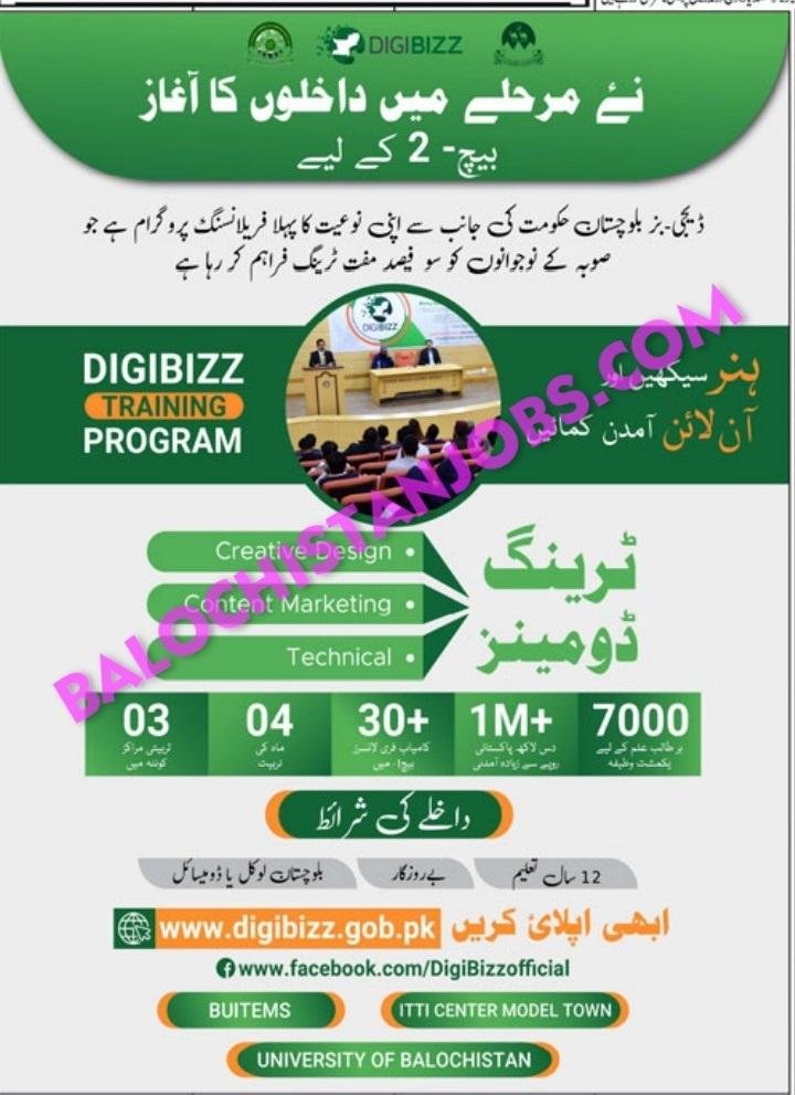 Digibizz Balochistan Freelancing Program Admission 2022