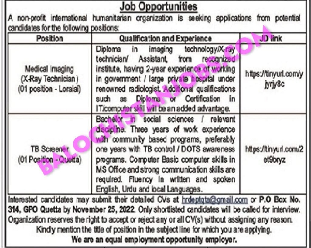 NGO Jobs In Quetta and Loralai 2022