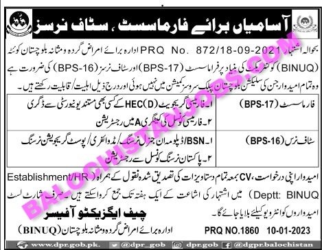 BINUQ Balochistan Jobs 2023
