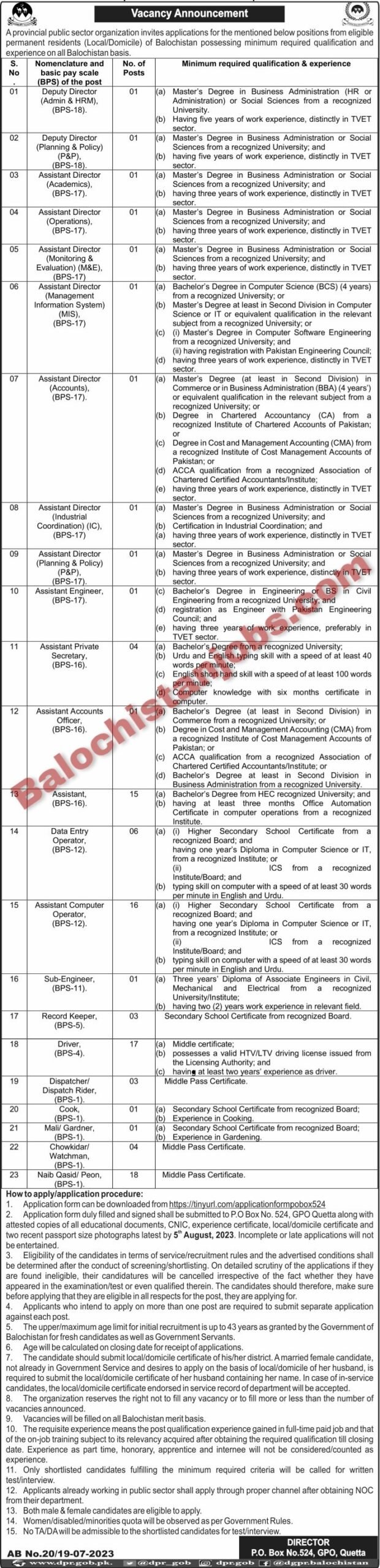 Provincial Public Sector Organization Balochistan Jobs 2023