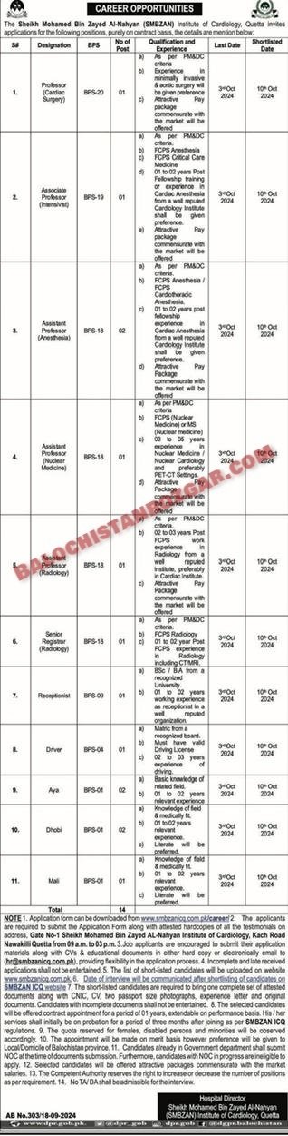 Sheikh Mohamed Bin Zayed Al Nahyan Institute of Cardiology Quetta Jobs 2024