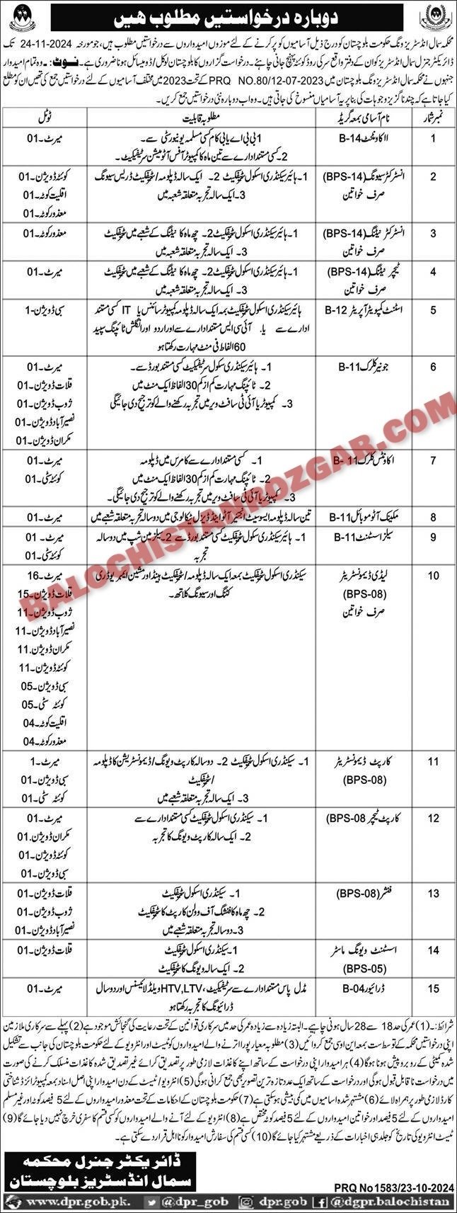 Population Welfare Department Social Mobilizer Jobs 2024