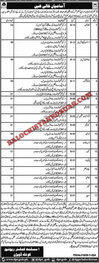 Revenue Department Quetta Jobs 2024